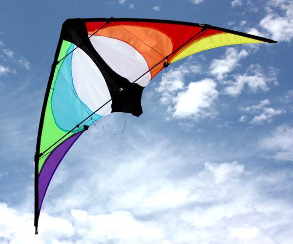 KITE OCEAN BREEZE MAD DOG For Discount